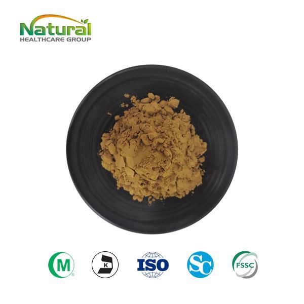 Порошок екстракту амли