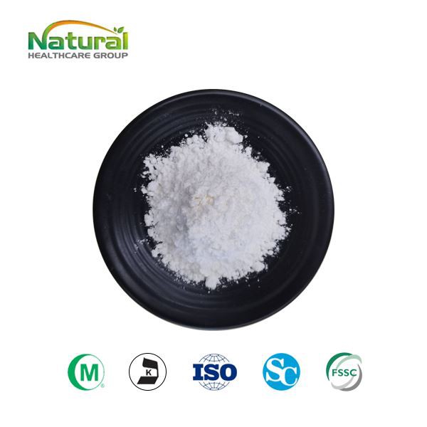 Порошок екстракту Andrographis Paniculata