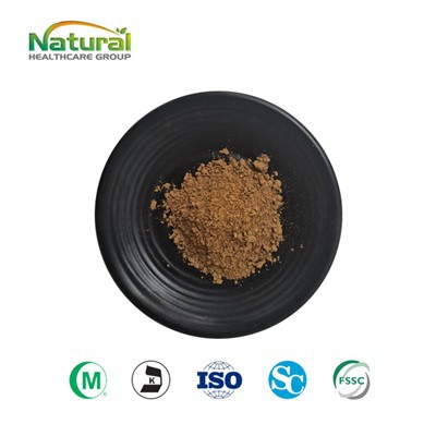 Порошок екстракту гриба Левова грива