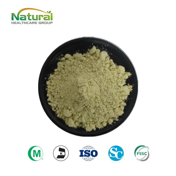 Organic Pumpkin Seed Protein